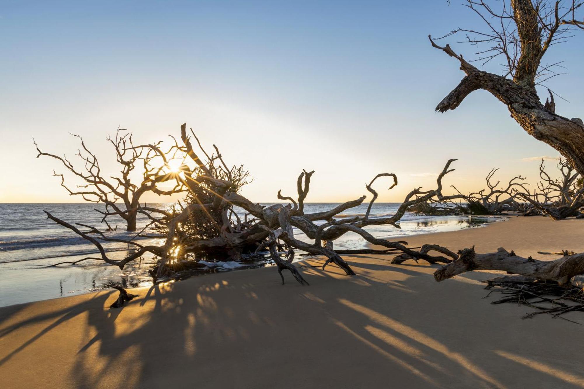 Holiday Inn Resort Jekyll Island By Ihg Buitenkant foto