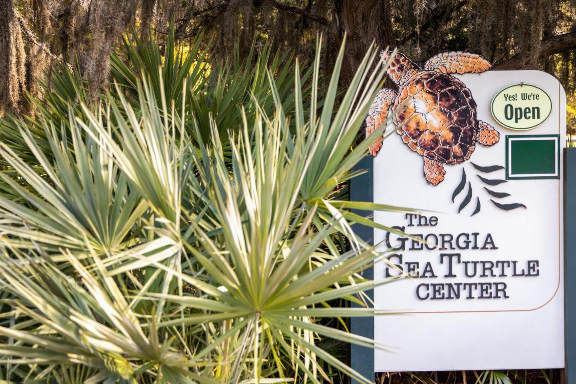 Holiday Inn Resort Jekyll Island By Ihg Buitenkant foto