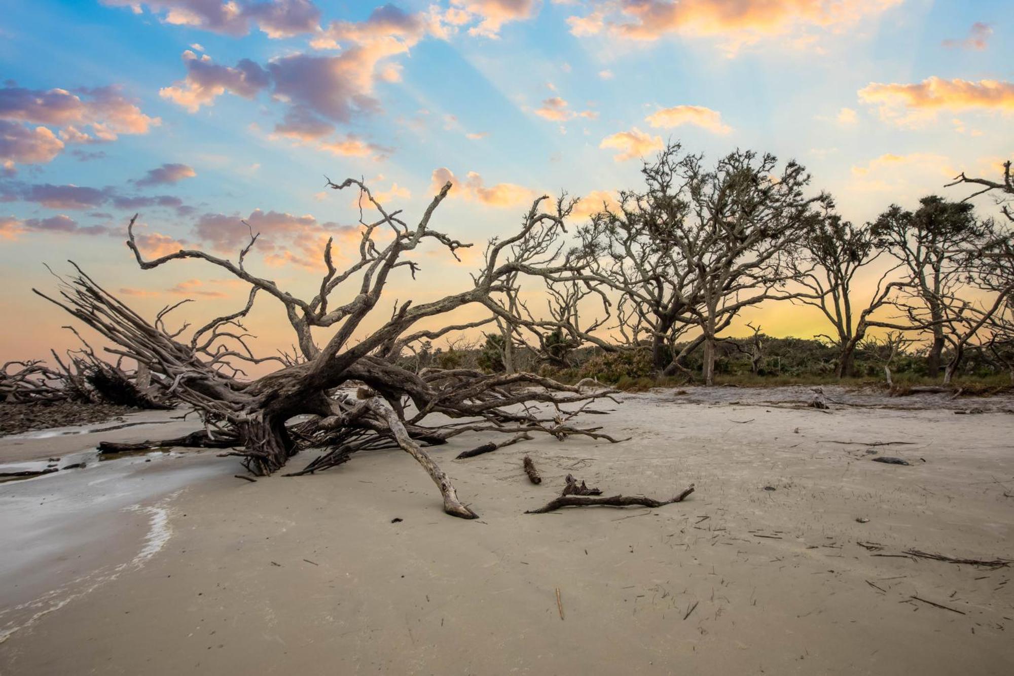 Holiday Inn Resort Jekyll Island By Ihg Buitenkant foto